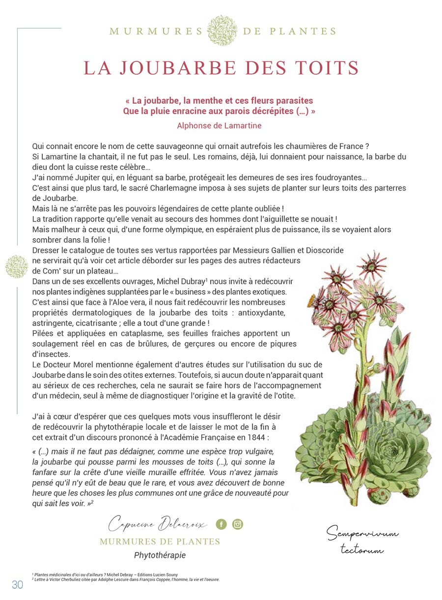 Com' sur un Plateau - Page 28