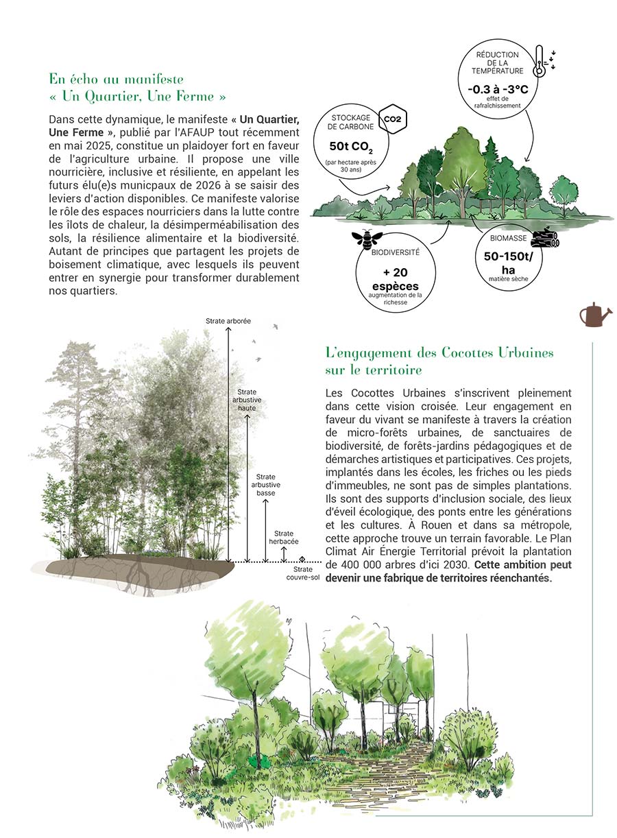Com' sur un Plateau - Page 19