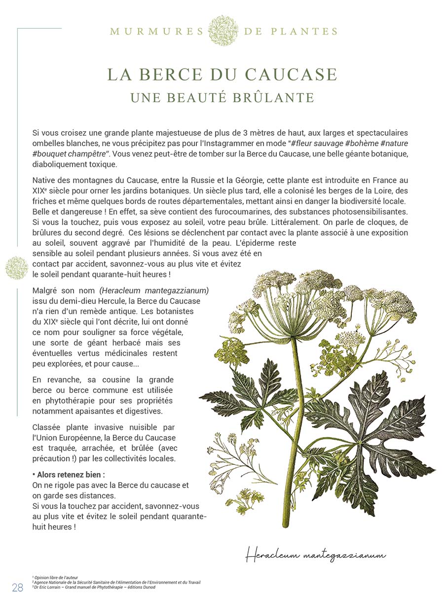 Com' sur un Plateau - Page 26