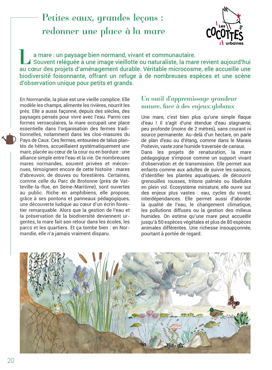 Com' sur un Plateau - Page 18