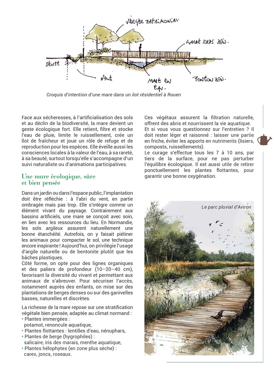 Com' sur un Plateau - Page 19