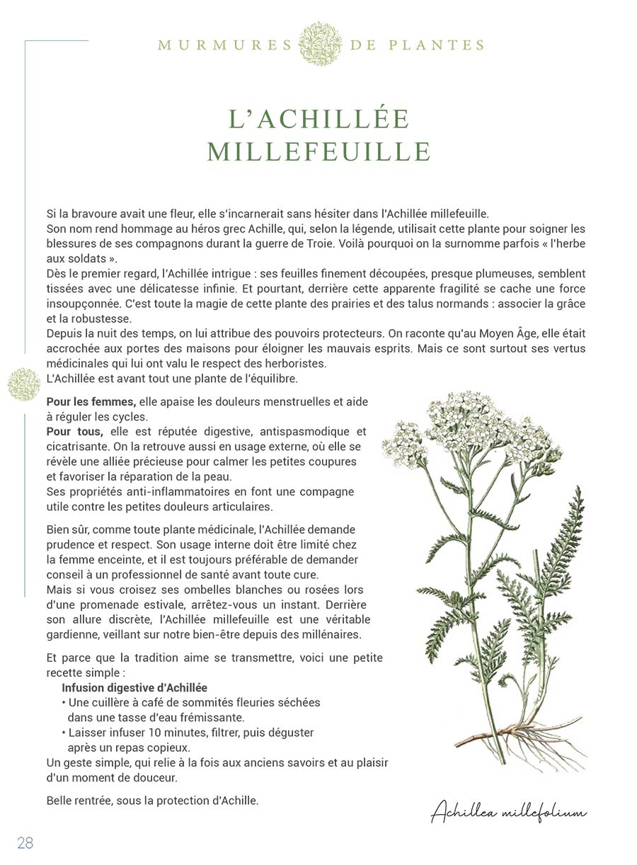 Com' sur un Plateau - Page 26